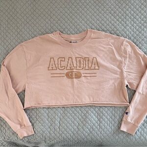 Champion Acadia Pink Crop Top